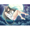 ネコノヒメ