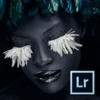 Adobe Photoshop Lightroom 4